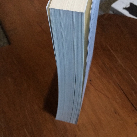 Desert queen by Janet Wallach book books novel - Picture 6 of 8